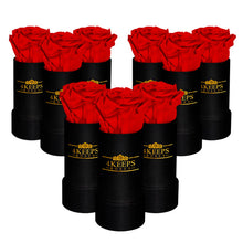 Load image into Gallery viewer, 9 RED ROSES
