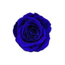 Load image into Gallery viewer, BLUE VIOLET ROSE