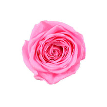 Load image into Gallery viewer, 6 BABY PINK ROSES