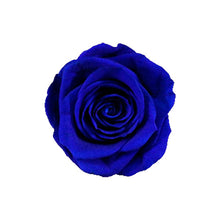 Load image into Gallery viewer, 6 BLUE VIOLET ROSES