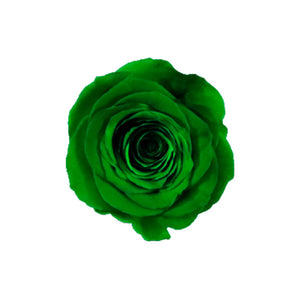 6 NATURE GREEN ROSES