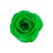 Load image into Gallery viewer, 3 PISTACHIO GREEN ROSES