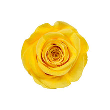 Load image into Gallery viewer, SUNNY DAY YELLOW ROSE
