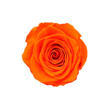 Load image into Gallery viewer, 6 SUNSET ORANGE ROSES