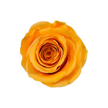 Load image into Gallery viewer, 6 SUNSET YELLOW ROSES
