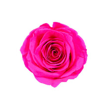 Load image into Gallery viewer, HOT PINK ROSE