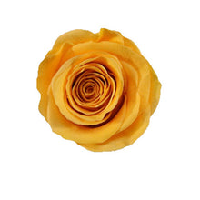 Load image into Gallery viewer, 3 SUNSET YELLOW ROSES